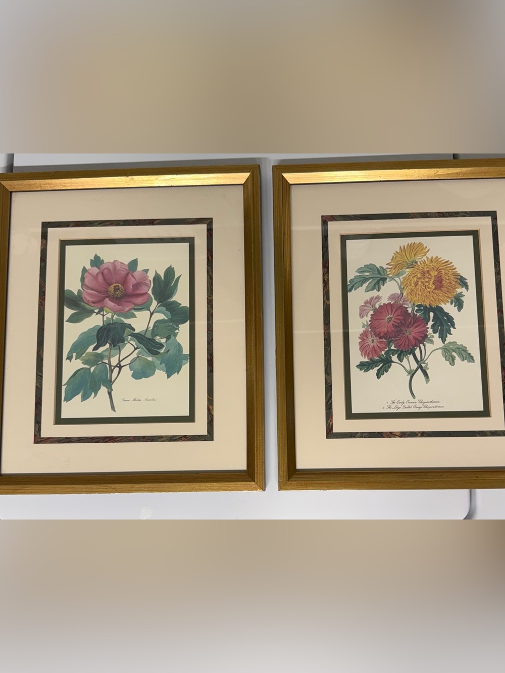 Vintage 1989 Metropolitan Museum of Art Botanical Prints - Framed Pair (11x13)